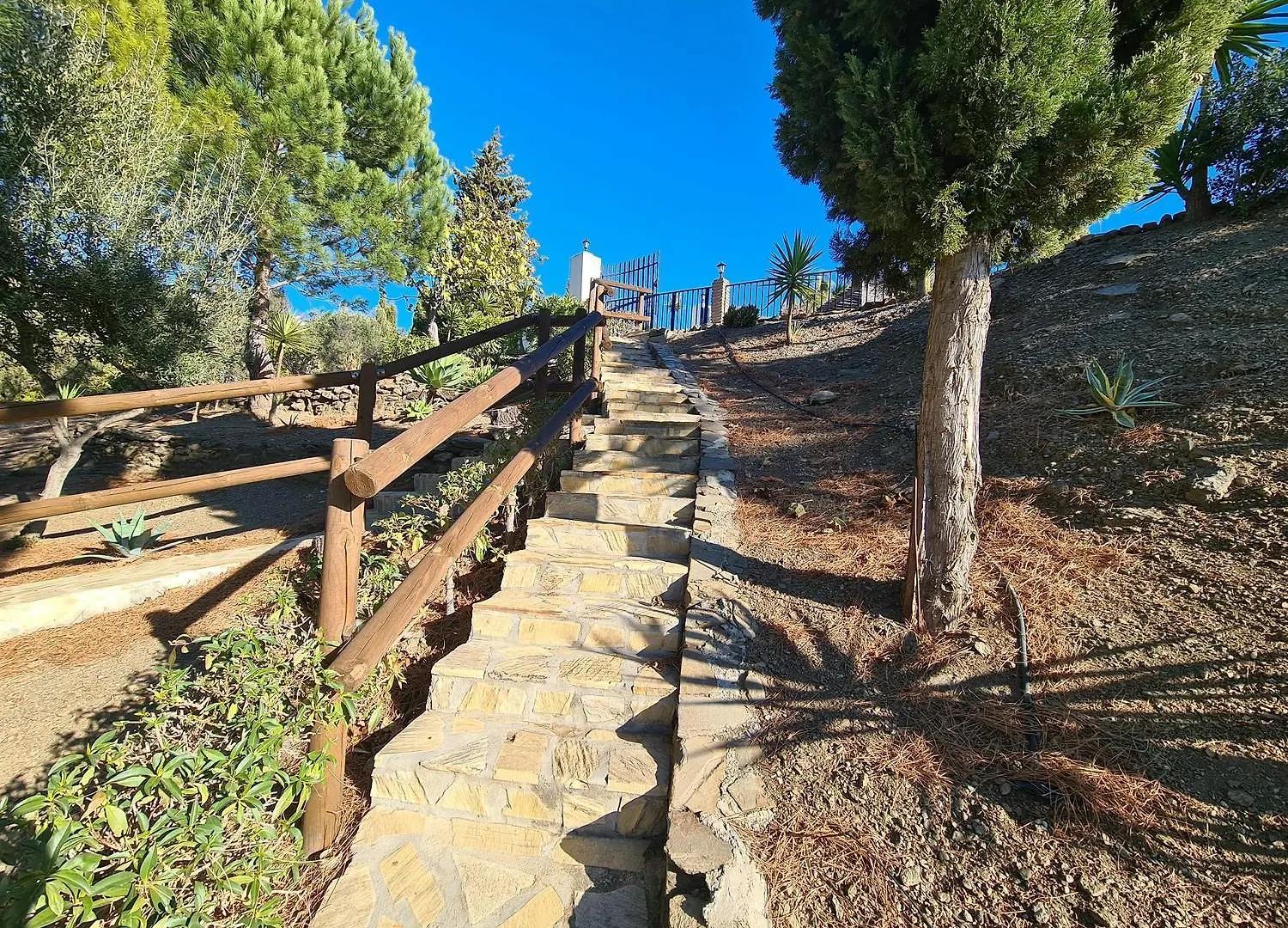 Villa Maguncia Competa